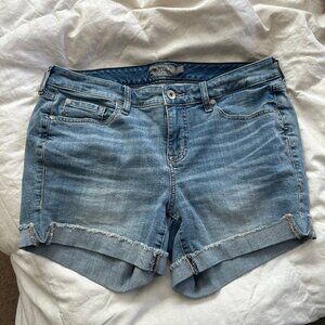 TORRID Shorts